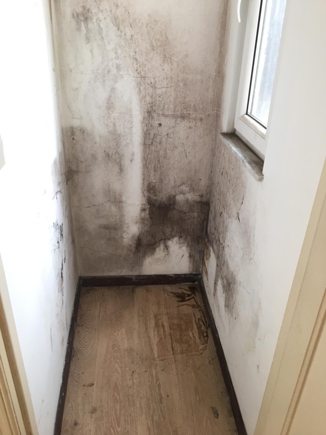 Peintre Professionnel pour tous vos travaux de peinture Peintre Professionnel pour tous vos travaux de peinture