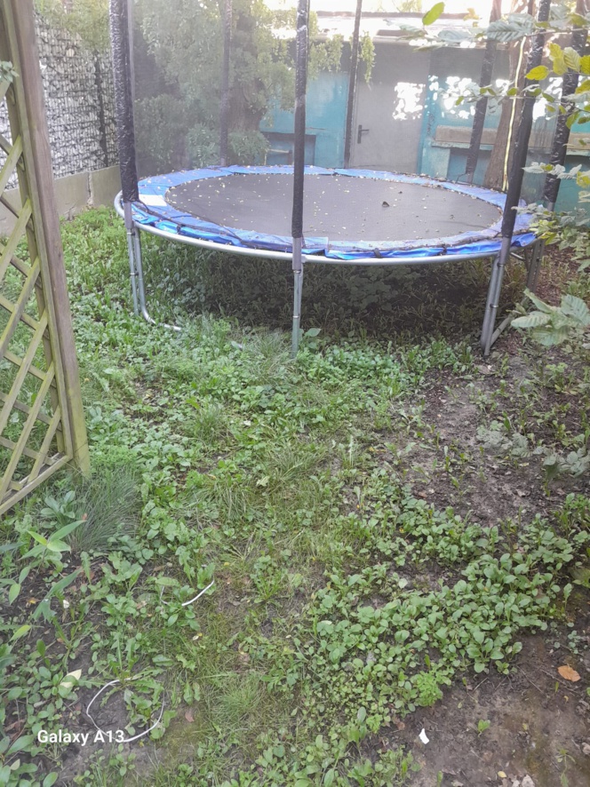 Travaux de jardin Travaux de jardin