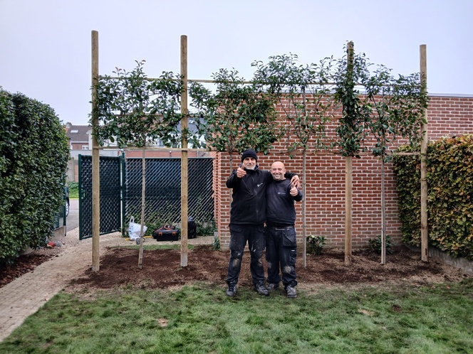 Travaux de jardin Travaux de jardin