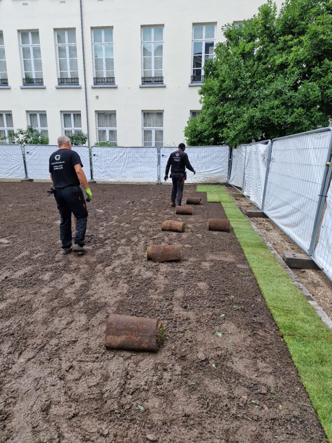 Pose de Gazon au Parlement Bruxellois