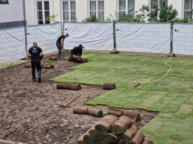 Pose de Gazon au Parlement Bruxellois Pose de Gazon au Parlement Bruxellois