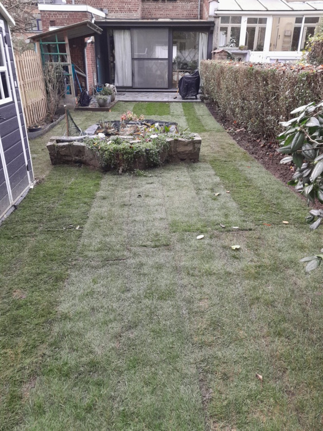 Transformation et nettoyage de Jardin chez Madame Reneart à Wavre Transformation et nettoyage de Jardin chez Madame Reneart à Wavre