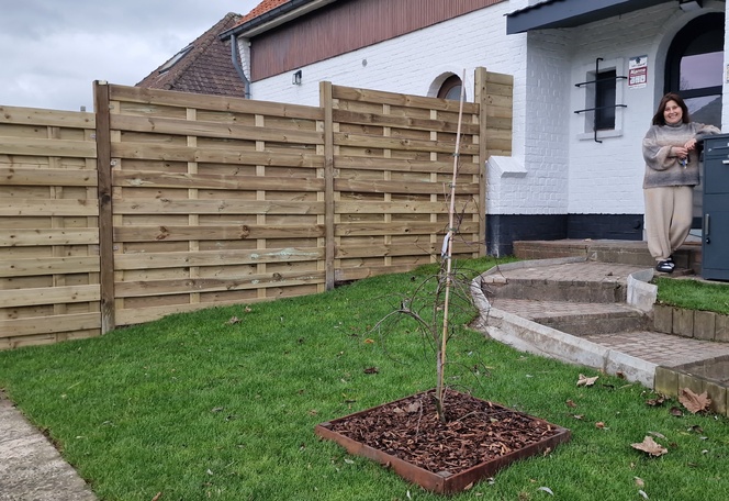 Renovation du jardin côté rue et installation d'une palissade en bois Renovation du jardin côté rue et installation d'une palissade en bois