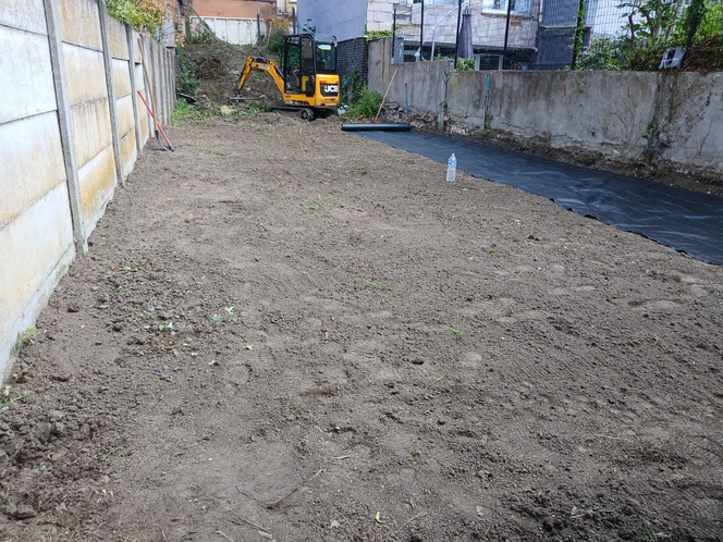 Enlevement de bambous