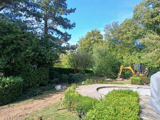 Enlevement de bambous