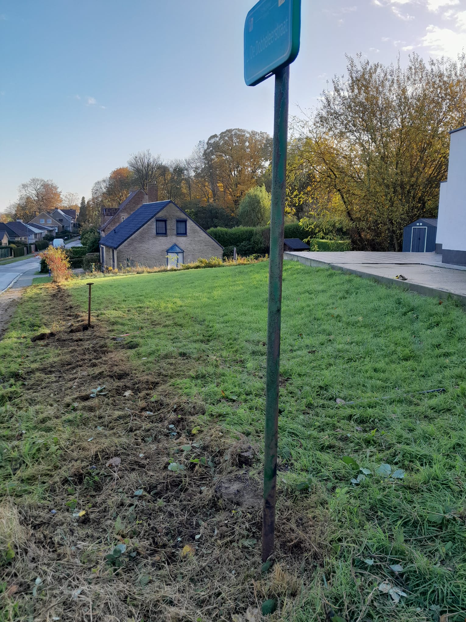 Chez Madame Italiano, à  Dilbeek, plantation de haies