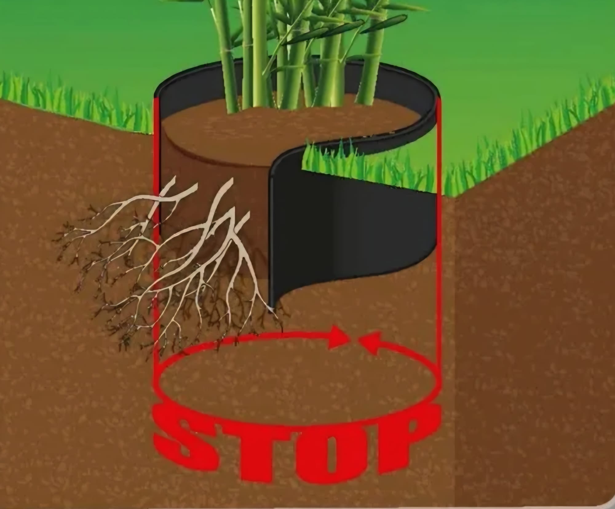 Enlevement de bambous