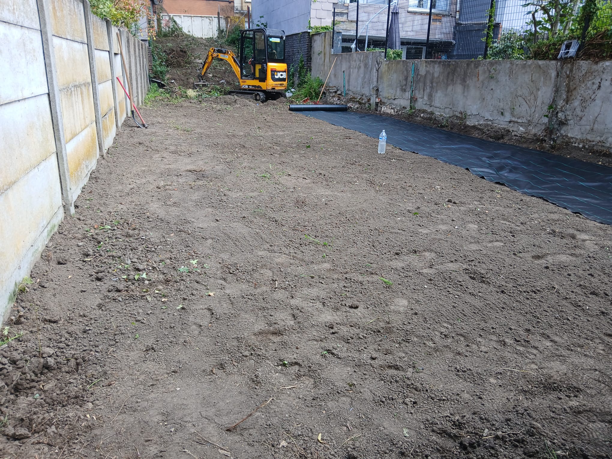 Enlevement de bambous