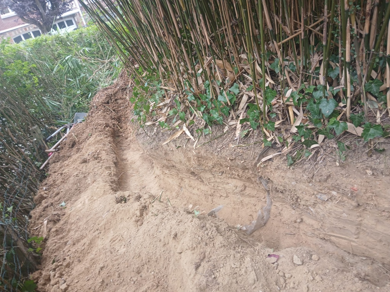 Barriere pour bambou