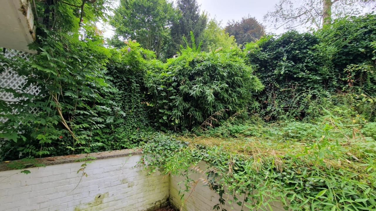 Faire enlever le bambou