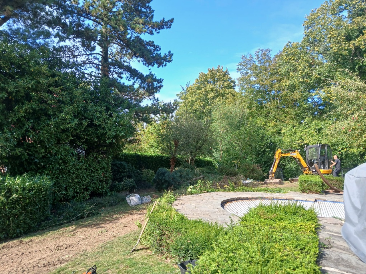 Enlever  les bambous mechaniquement