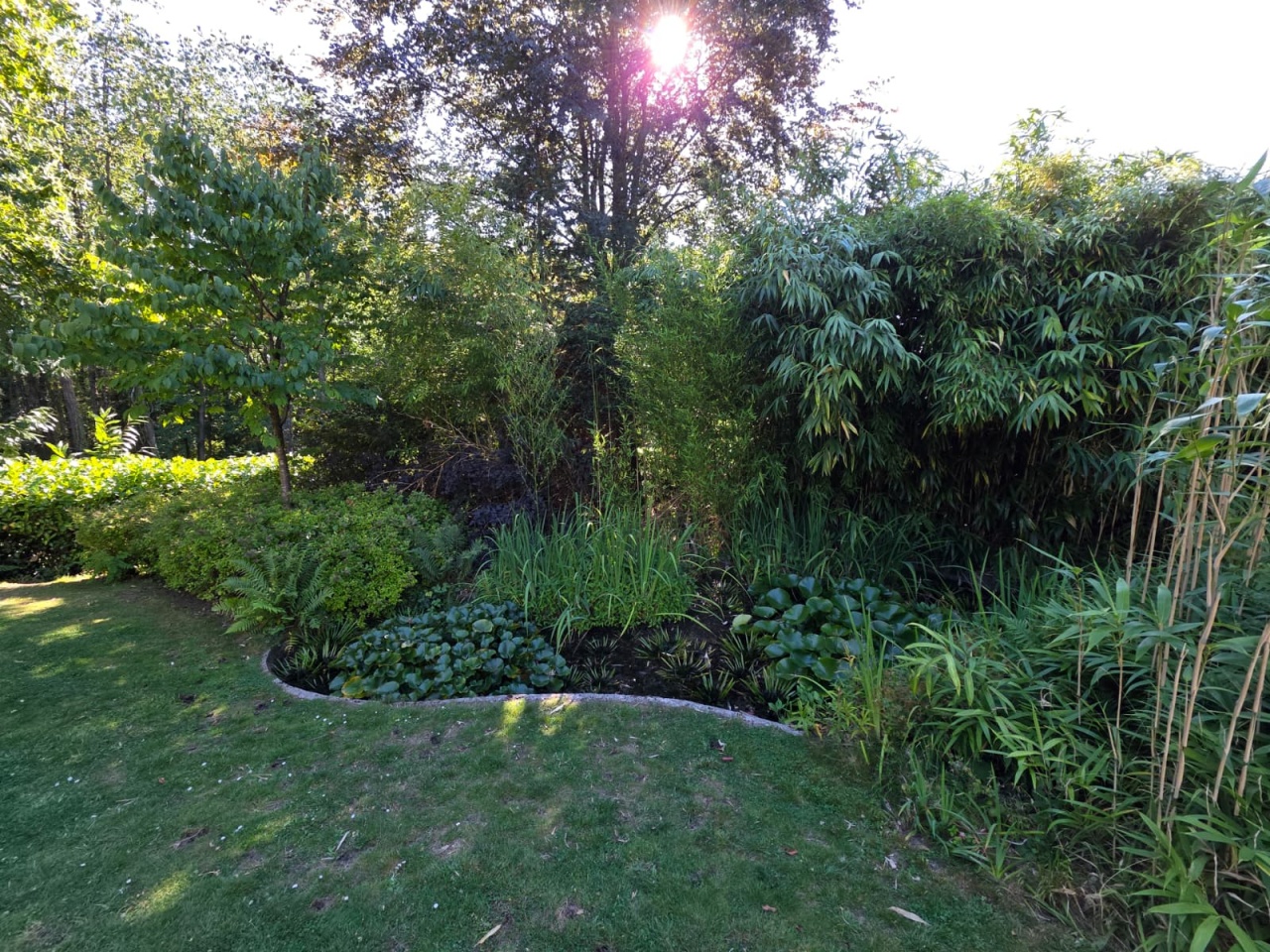 Enlever bambou et preserver le jardin