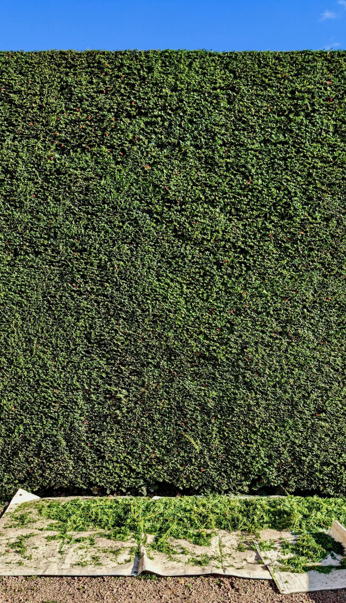 background pattern